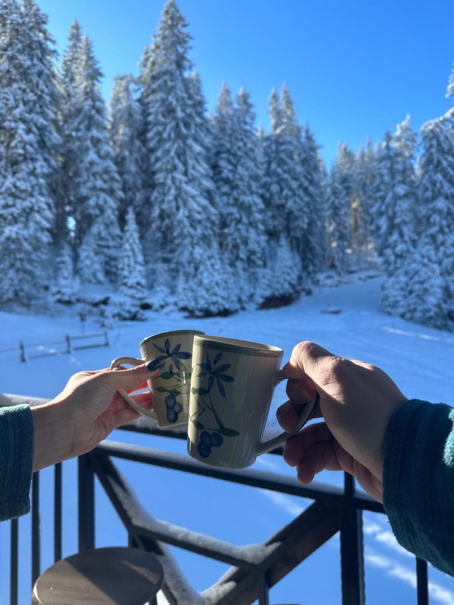Castle Romance - Pamporovo Dış mekan fotoğraf