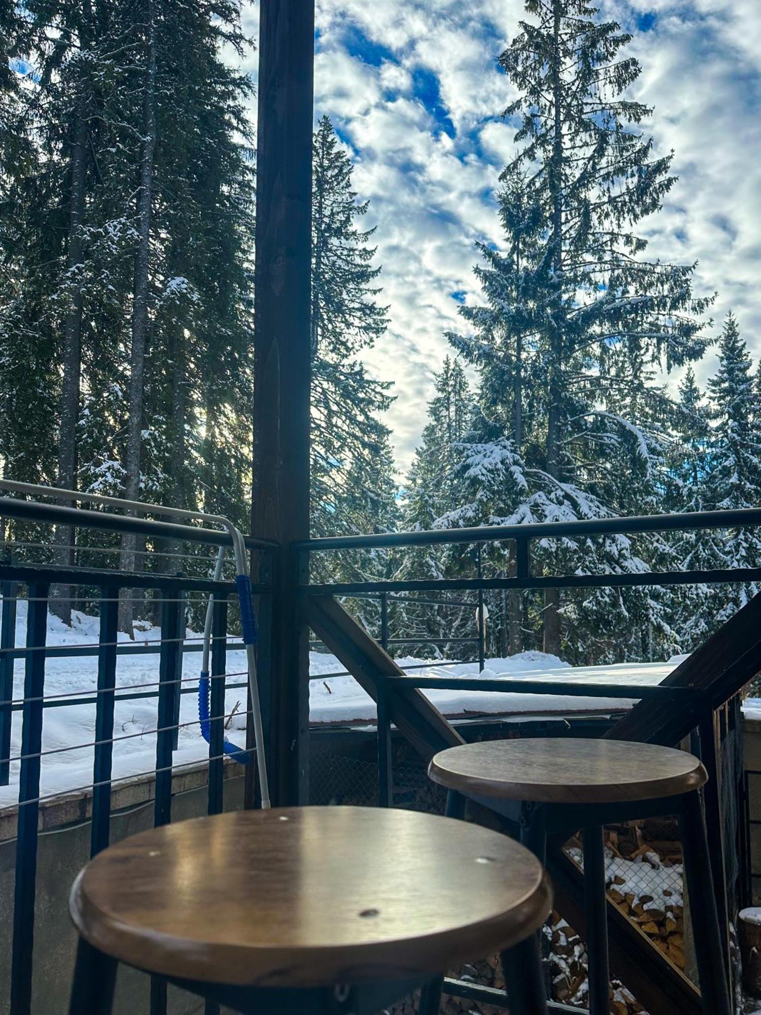 Castle Romance - Pamporovo Dış mekan fotoğraf